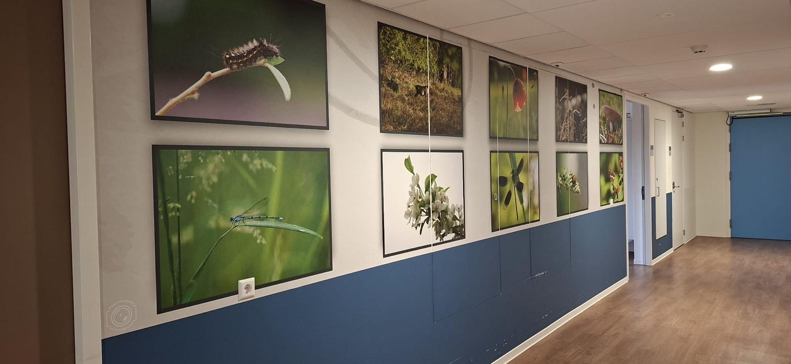 Nieuwe wanddecoratie dankzij steun Vrienden van het Wiedenbroek